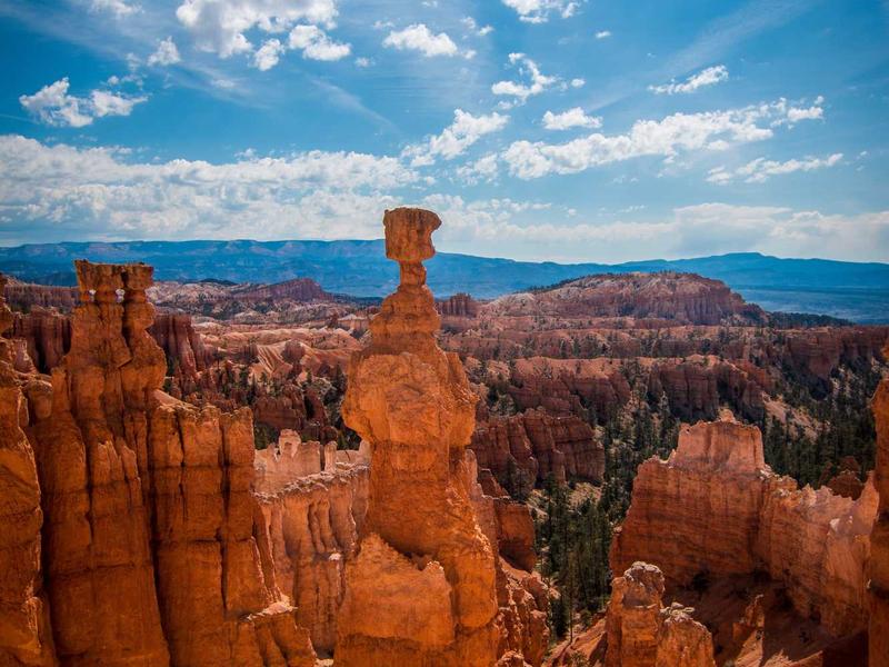 sudoku trophy collection screenshot 5