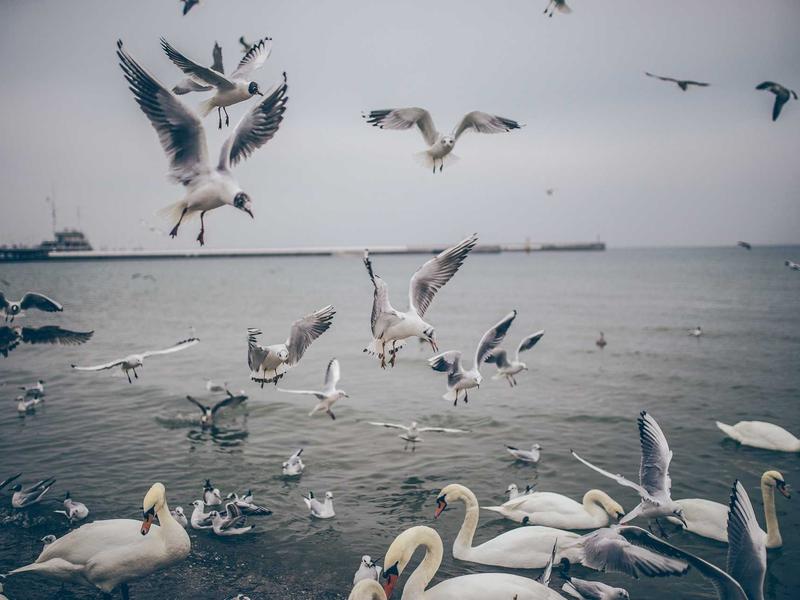 sudoku device transfer screenshot 2